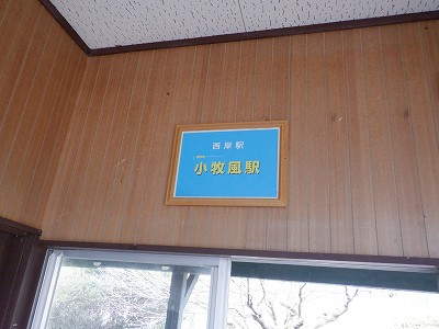 ݉w摜