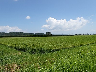 \ow摜