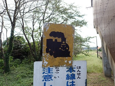 \ow摜