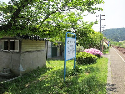 ホーム