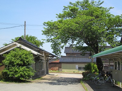 横から
