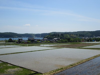 見下ろす
