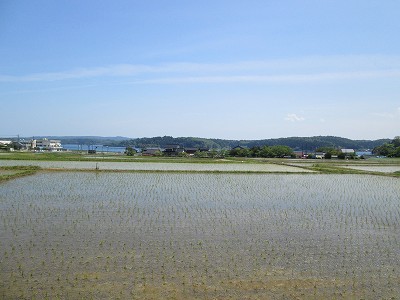 遠くから