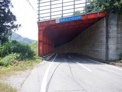 唒w摜