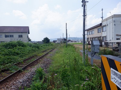 M_w摜