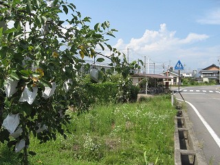 駅前