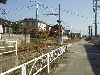 海王丸駅より