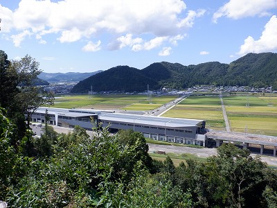 zOӉw摜