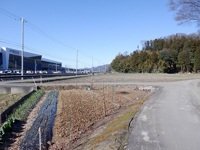 zOӉw摜