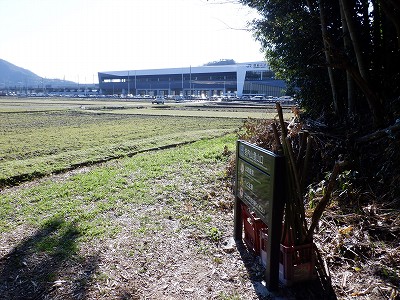 zOӉw摜
