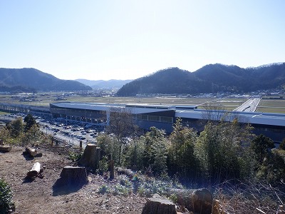 zOӉw摜