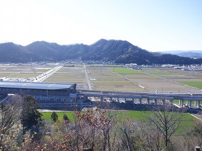 zOӉw摜