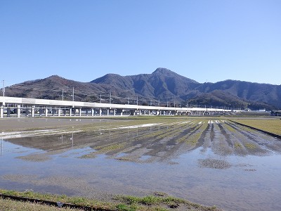 zOӉw摜