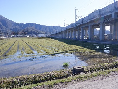 zOӉw摜