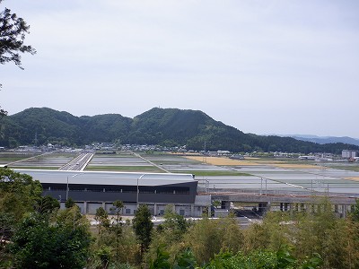 zOӉw摜