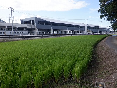 zOӉw摜