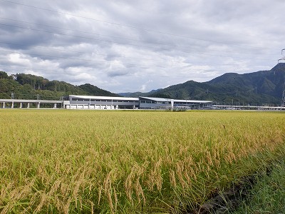 zOӉw摜