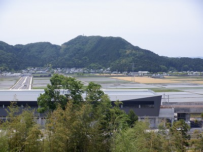 zOӉw摜