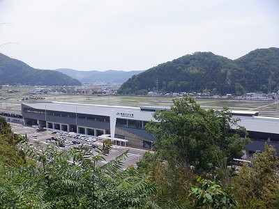 zOӉw摜