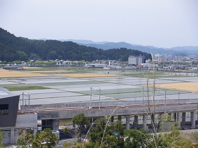 zOӉw摜