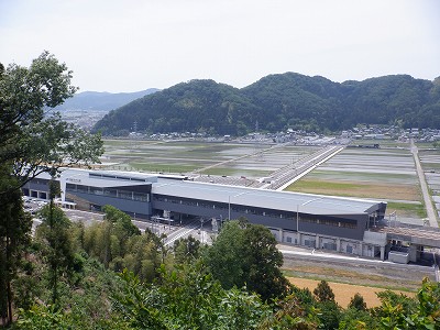 zOӉw摜