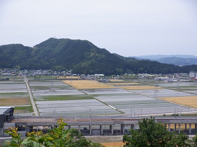 zOӉw摜