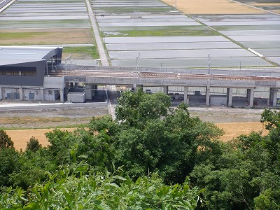zOӉw摜