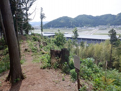zOӉw摜