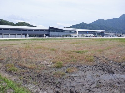 zOӉw摜