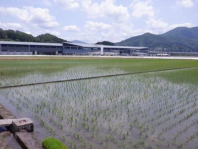 zOӉw摜
