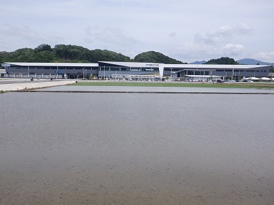 zOӉw摜