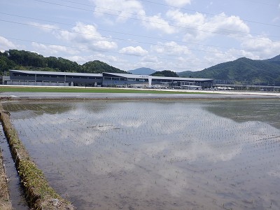 zOӉw摜