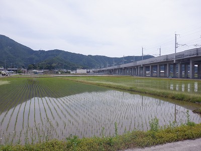 zOӉw摜