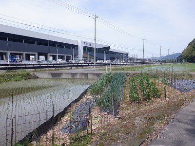 zOӉw摜