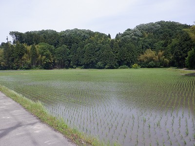 zOӉw摜