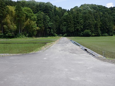 zOӉw摜