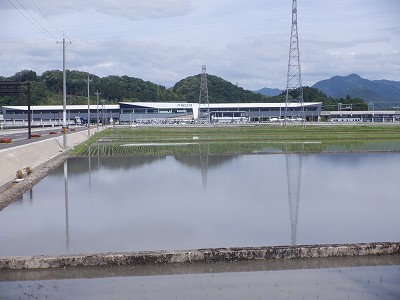 zOӉw摜