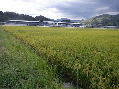 zOӉw摜