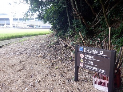 zOӉw摜
