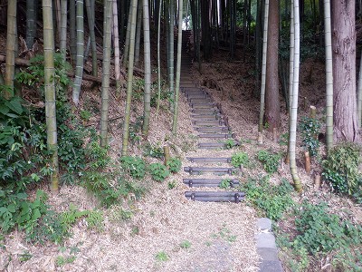 zOӉw摜