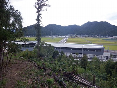 zOӉw摜