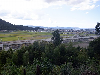 zOӉw摜
