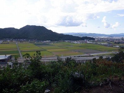 zOӉw摜