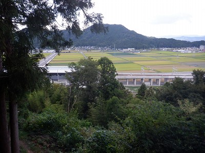 zOӉw摜
