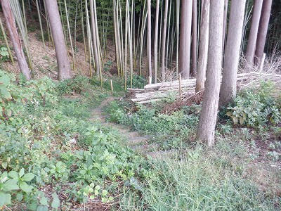zOӉw摜