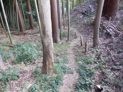 zOӉw摜