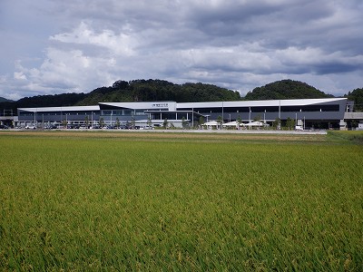 zOӉw摜