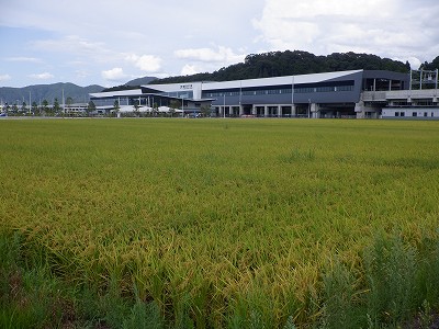 zOӉw摜