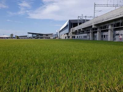 zOӉw摜