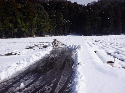 �z�O�����Ӊw�摜